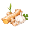 পাহাড়ি আদা ও রসুন (Hill Ginger & Garlic)