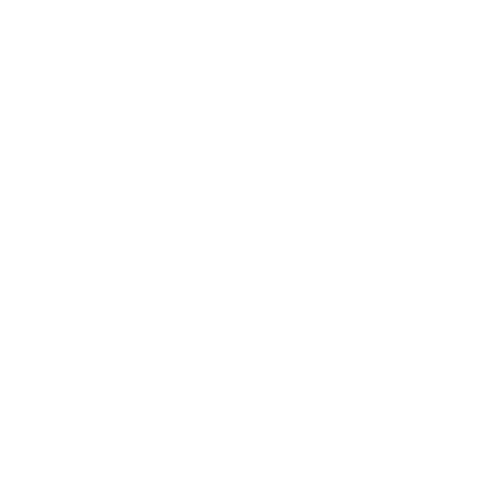 WhatsApp Icon